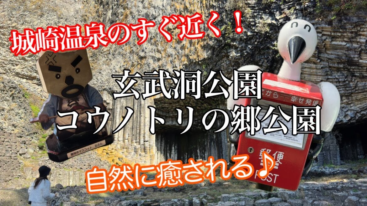 【城崎温泉とセット】コウノトリの郷公園と玄武洞公園が楽しい！兵庫県豊岡市の一押し観光地！城崎温泉からすぐ近く！【玄さんのモデル】