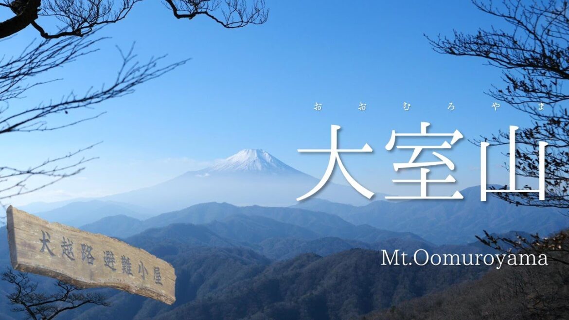 【山梨百名山#62】大室山　～用木沢と犬越路を越え奥丹沢の雄峰へ～