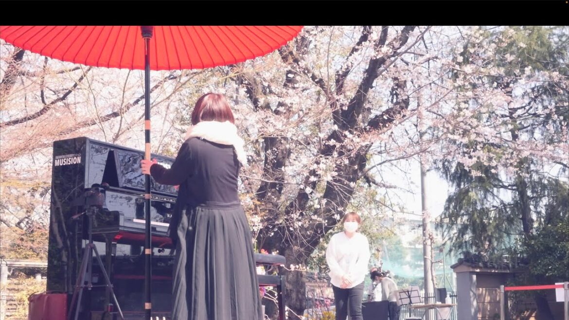 【感動】絶景！中島みゆきの泣ける歌を演奏したらまさかのアンコール⁉︎【糸 / 時代】