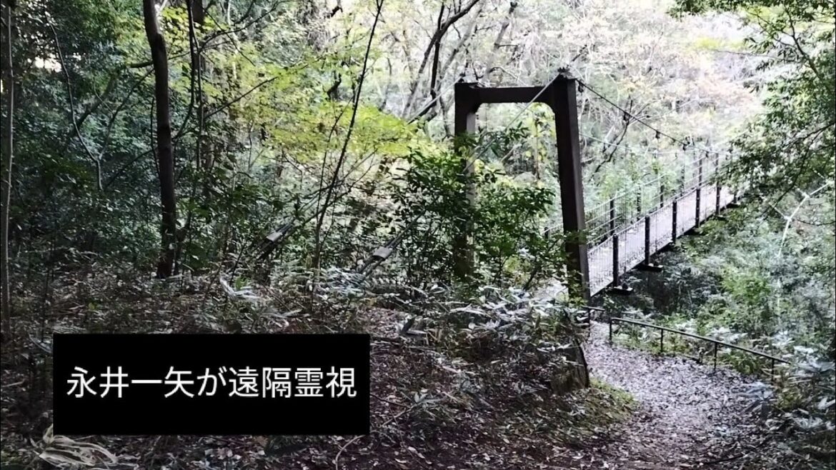 【永井一矢が遠隔霊視】（波動）14「山梨県道志村キャンプ場女児失踪事件」・椿沢の山岳地帯を想定し登り歩く