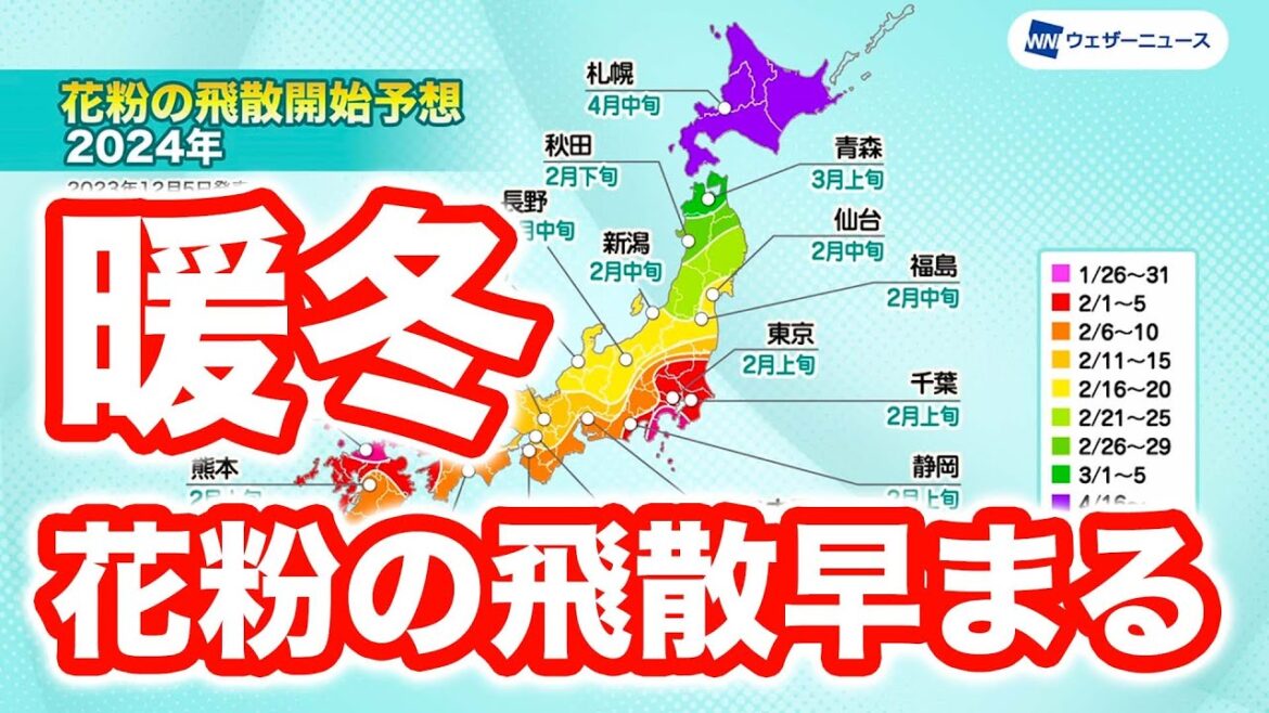 【花粉飛散早まる】ウェザーニュース花粉飛散傾向を発表　暖冬でスギ花粉の飛散開始が早まる見込み