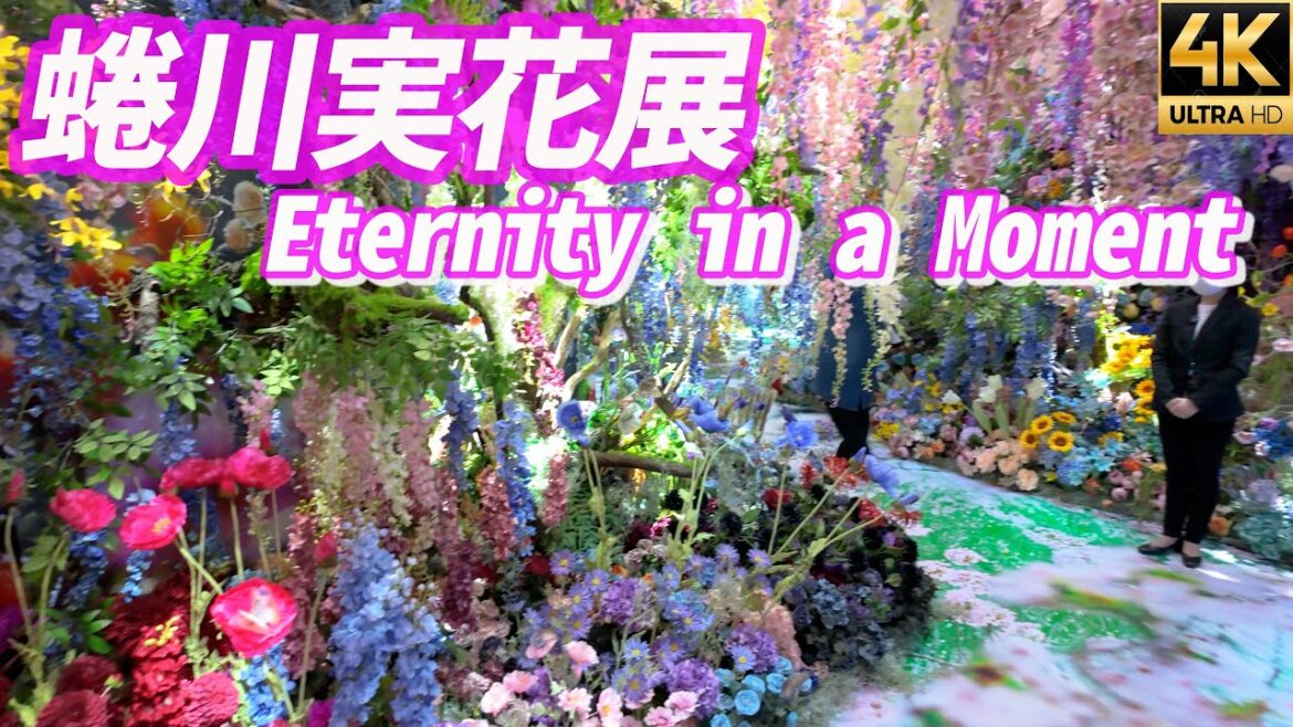 【蜷川実花展Eternity in a Moment】瞬きの中の永遠 上下左右を埋め尽くす花々🌸桃源郷の世界は必見！TOKYONODE 虎ノ門ヒルズ DJI Osmo Pocket3 4K