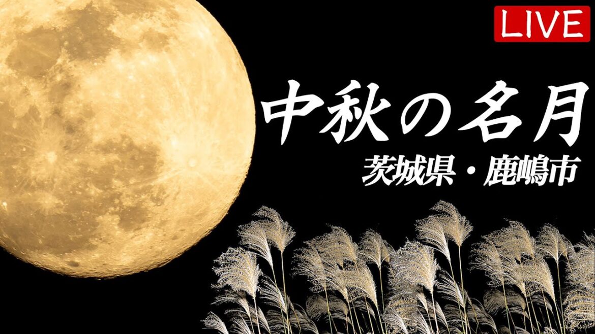 【LIVE】中秋の名月×満月 お月見ライブカメラ＠茨城県鹿嶋市／2023年9月29日(金)16:50〜／Harvest Moon