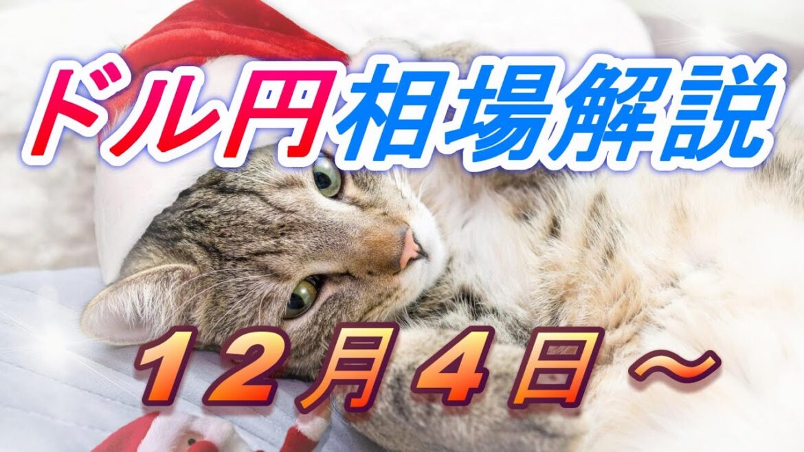 【TAKA FX】ドル円為替相場の今週の動きと来週の展望をチャートから解説。日経平均、NYダウ、金チャートも。12月4日～