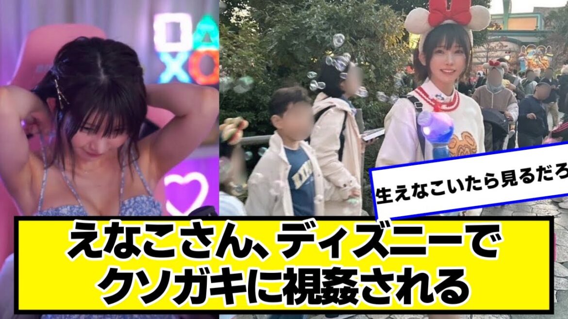 えなこさん、ディズニーでクソガキにガン見されてしまう【ネットの反応】#美女bra #えなこ