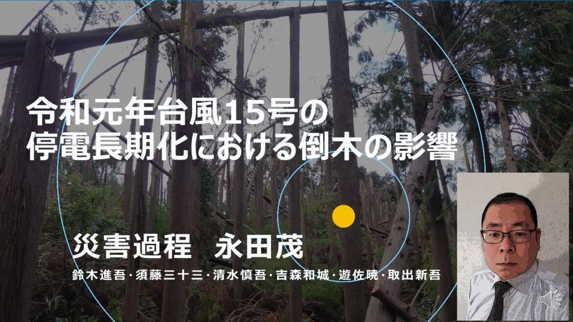 令和元年台風15号の停電長期化における倒木の影響　永田茂（災害過程研究部門）