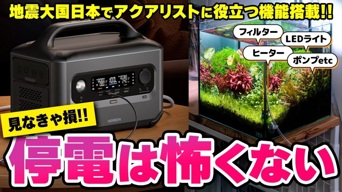 外出中に停電してもUPS機能で安心！水槽のポタ電活用【UGREEN PowerRoam600】瞬間停電対策にも #アクアリウム #熱帯魚