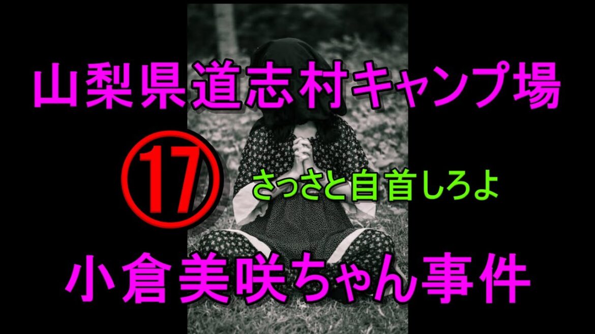 山梨県道志村ツバキオートキャンプ場行方不明事件 ⑰ 小倉美咲ちゃん事件の考察。