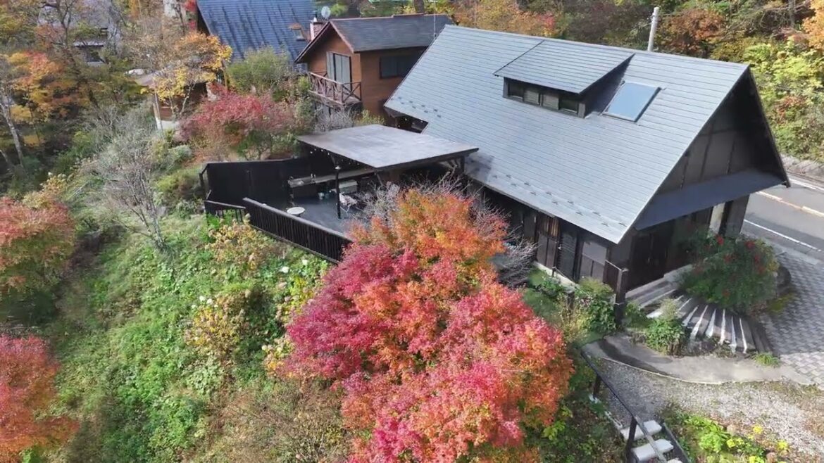 山梨県道志村1日1組様限定の貸別荘 SESELA〜セセラ〜 2023 紅葉ドローン空撮 part：3