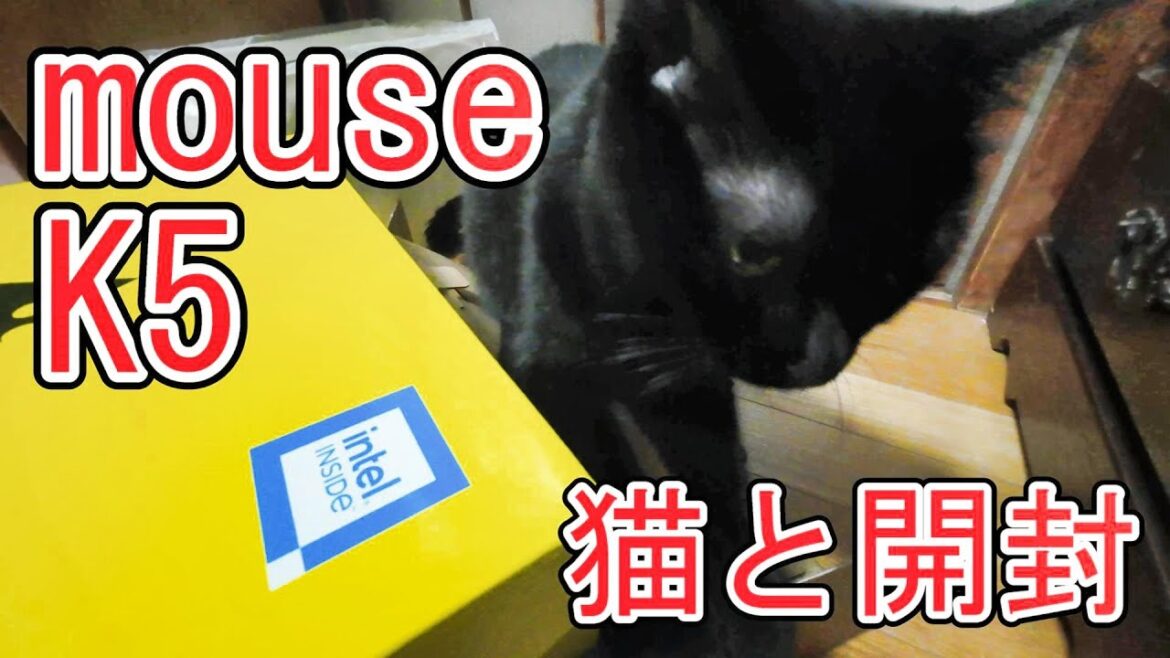 猫とノートPC開封　MOUSE　K5プレミアムモデル　マウスコンピュータ　Core i7