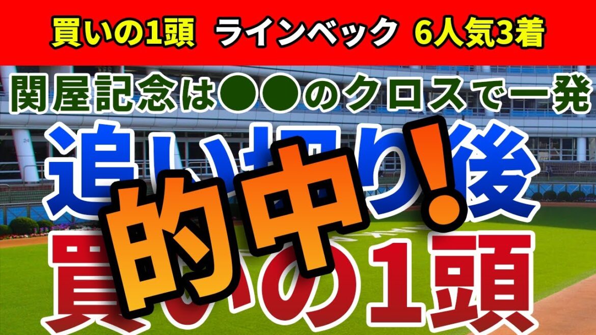 関屋記念2023 追い切り後【買いの1頭】公開！傾向変化？狙うべきはか前か、後ろか。前走からさらに上昇のおいしい一頭を発表！