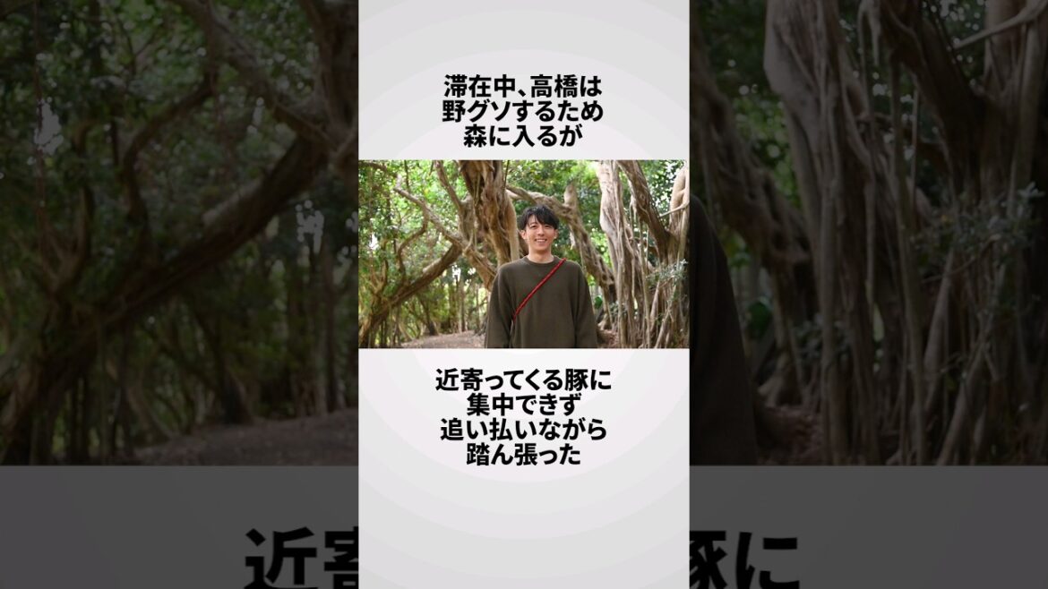 高橋一生の雑学エピソード #shorts