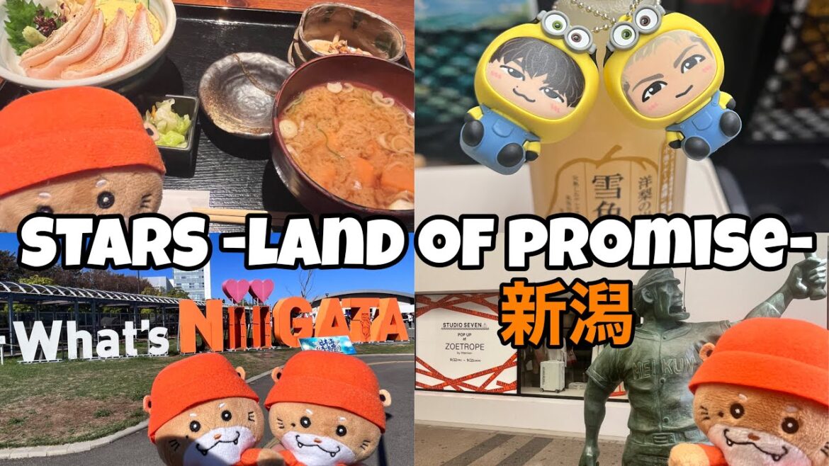 高速猫ふんじゃった 〜三代目J SOUL BROTHERS LIVE TOUR 2023STARS -Land of Promise- 新潟 編〜