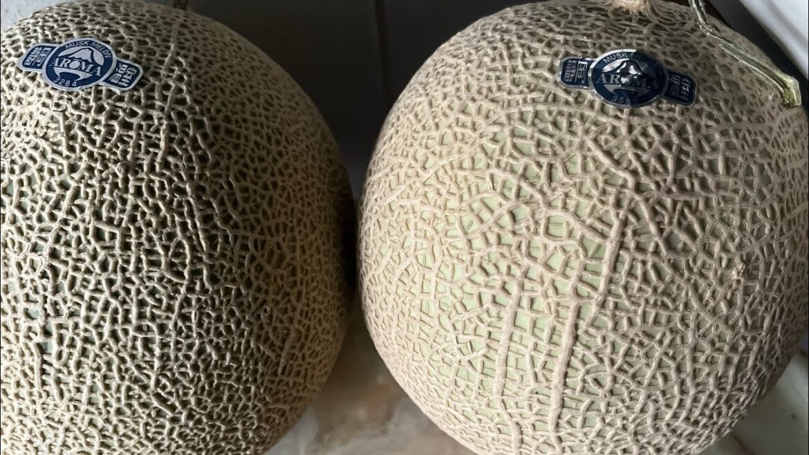 1個4400円 #高級 #マスクメロン🍈2個 #完熟 #静岡 #メロン #melon #くだもの #果物 #フルーツ #fruits #甘い #スイーツ #sweets #日本 #食レポ #グルメ