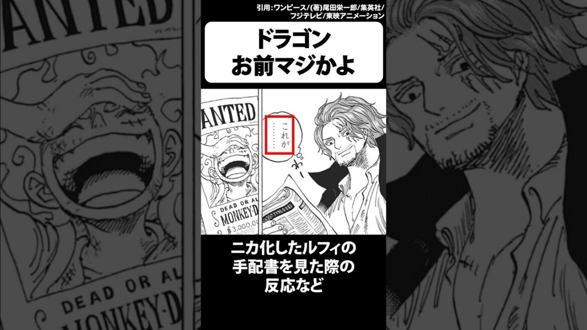 1101話でルフィの父ドラゴンのとある事実が判明→衝撃的な考察が浮上【ワンピース】 #Shorts