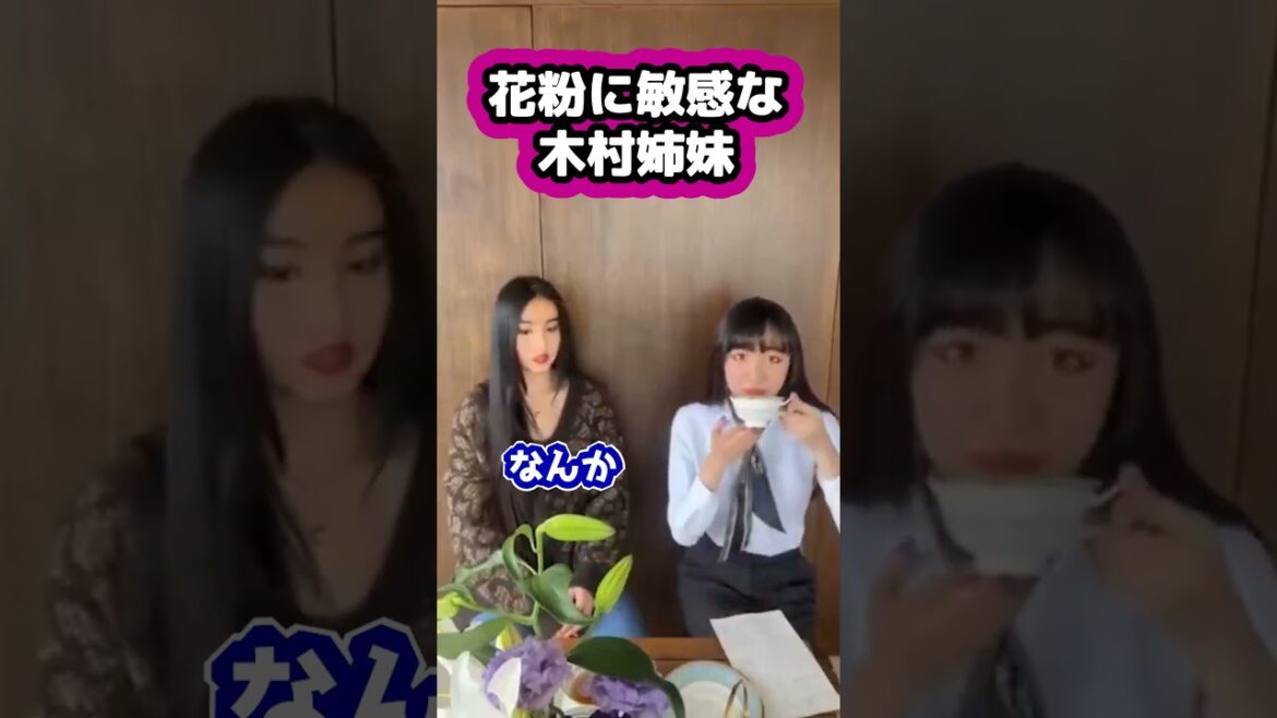 【キムタク娘】花粉、来てない？ #cocomi #koki #キムタク #娘 #工藤静香 #Shorts