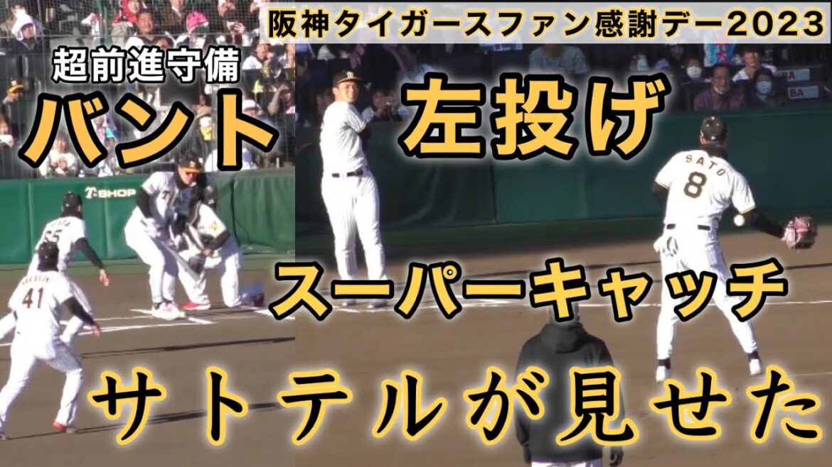 『シーズン中には見られない‼︎器用にこなす佐藤輝明選手』送りバント•左投げピッチャー•ライナーをスーパーキャッチ 阪神タイガースファン感謝デー 2023年11月25日