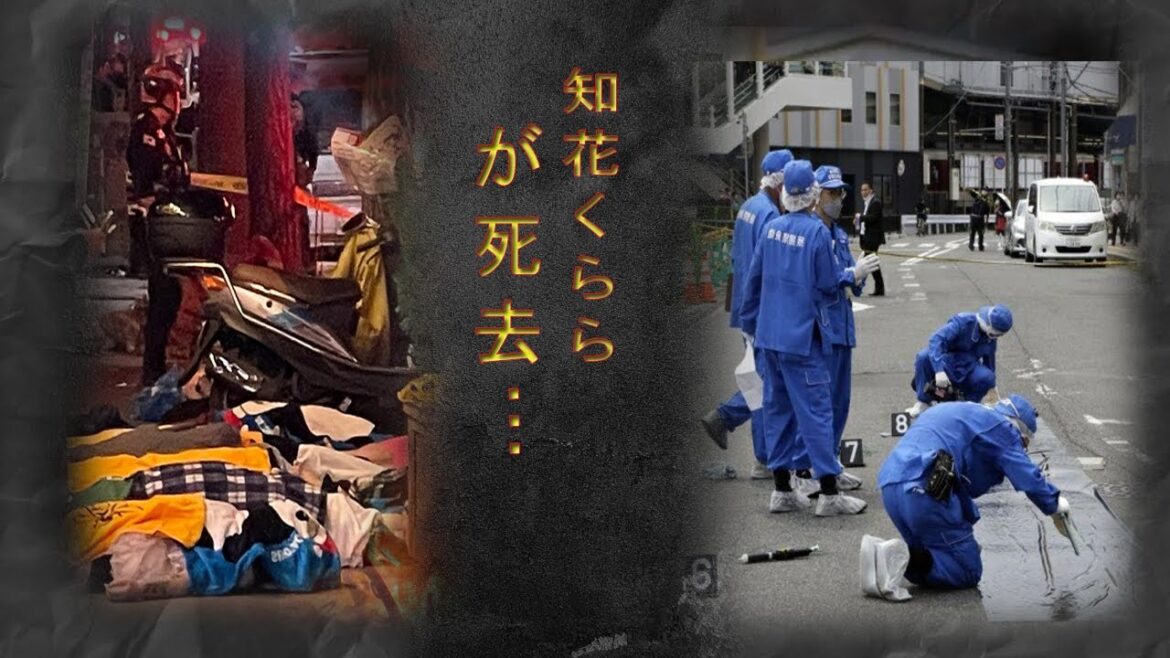 知花くららの突然の旅立ちに涙が溢れて止まらない…ネット上でも偲ぶ声が…