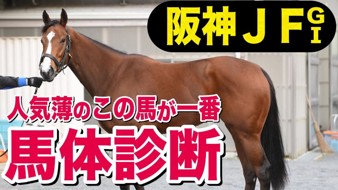【阪神ＪＦ2023】中村均元調教師が馬体診断　有力馬４頭を徹底解説　穴馬２頭が高得点！《東スポ競馬ニュース》