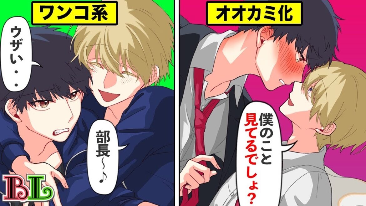 【BLアニメ】カワイイ顔して強引オオカミくんだった同級生に迫られた結果...(ボイスマンガ動画)