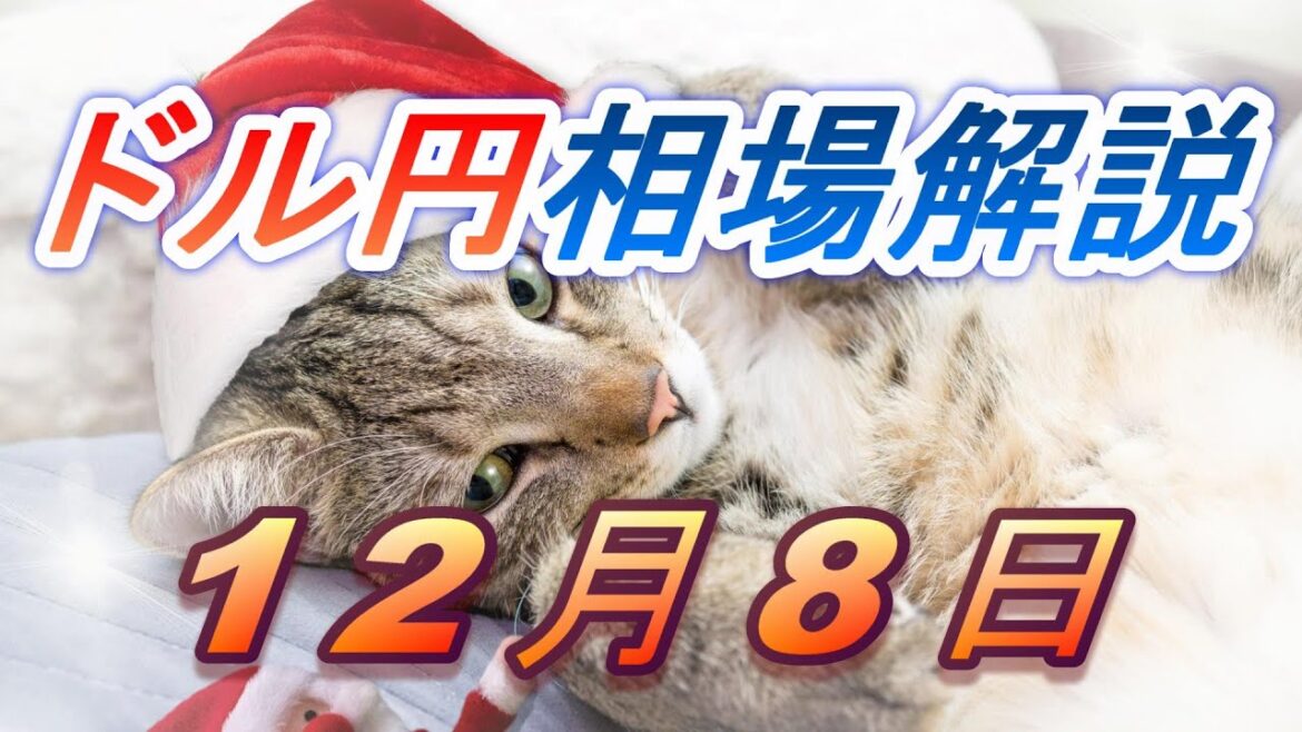 【TAKA FX】ドル円為替相場の前日の動きをチャートから解説。日経平均、NYダウ、金チャートも。12月8日
