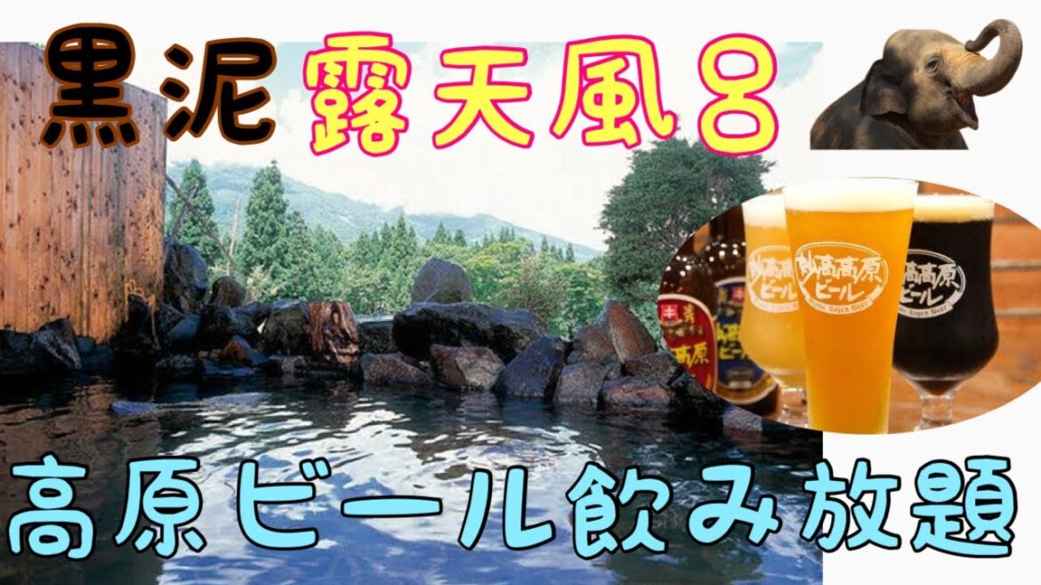 【新潟 池の平温泉】ホテルアルペンブリックに泊まってみた Hotel ALPEN BLICK