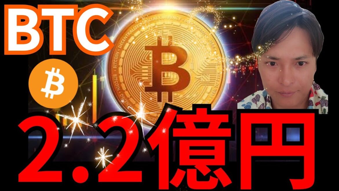ビットコイン世界9位の資産に。数年以内に1BTC=2億2000万円になる？
