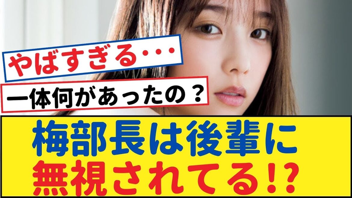 キャプテン梅が後輩たちから無視されている理由は？！一体何があったの？【乃木坂46・岩本蓮加・乃木坂工事中・乃木坂配信中】