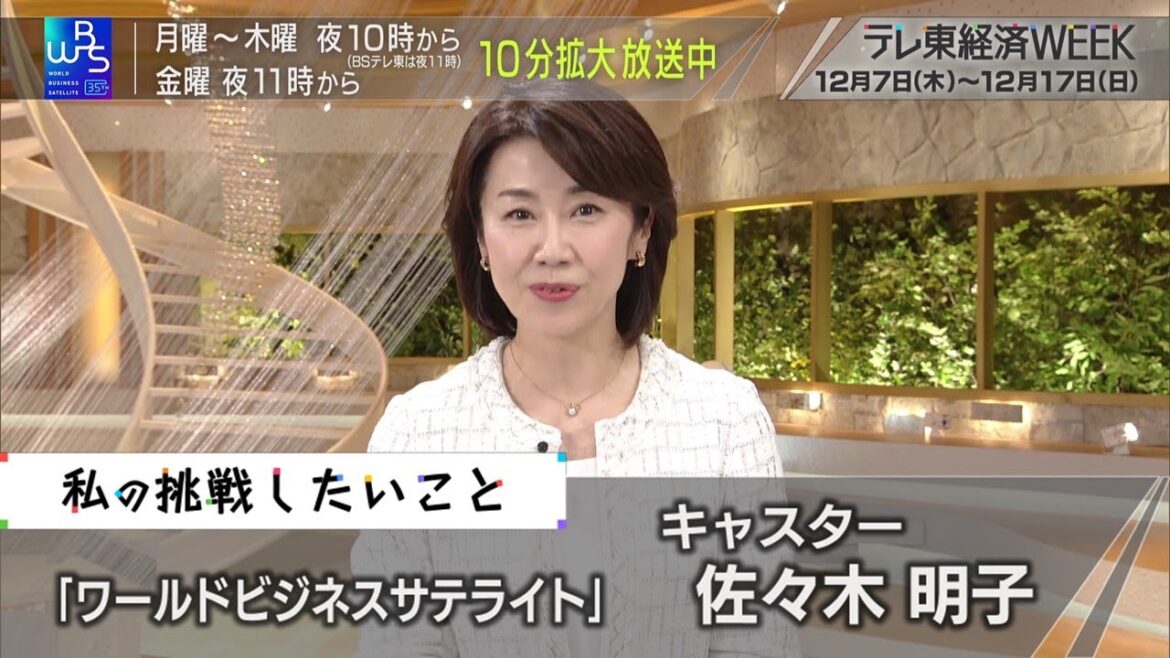 テレ東経済WEEK 「ワールドビジネスサテライト」の 佐々木 明子 キャスターの“挑戦したいこと”（2023年12月11日）