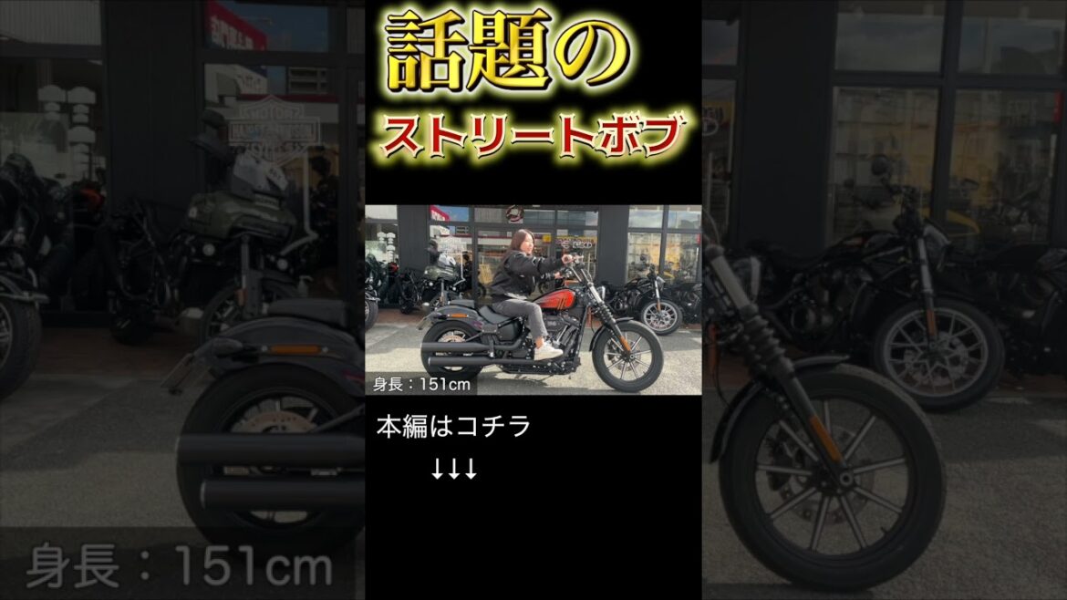 永野芽郁さんが乗ってるハーレーで話題のストリートボブ　114 足つき　ポジション
