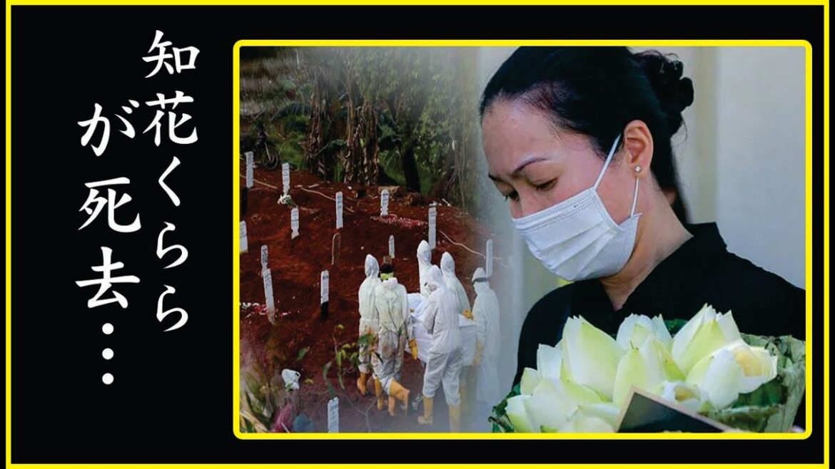 知花くららがガン闘病中と言われる現在や整形で顔面崩壊の真相に一同驚愕…