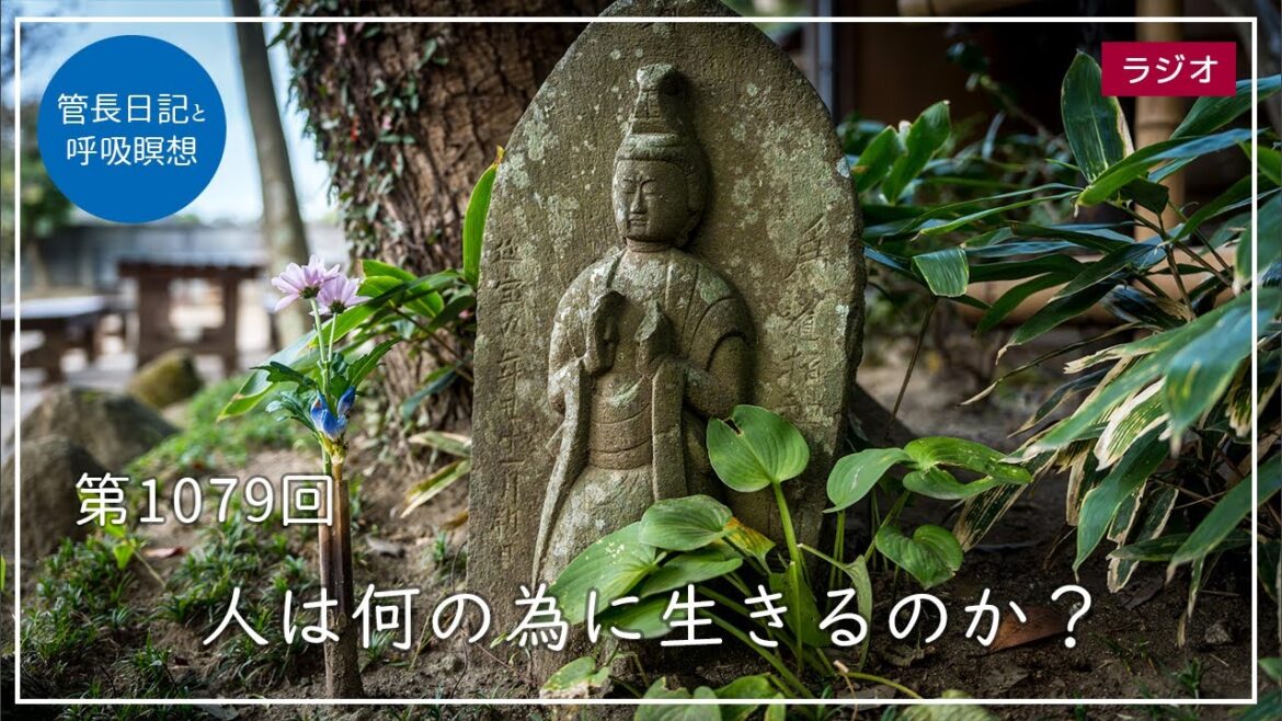 第1079回「人は何の為に生きるのか？」2023/12/21【毎日の管長日記と呼吸瞑想】｜ 臨済宗円覚寺派管長 横田南嶺老師