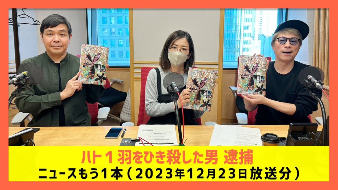 「ハト１羽をひき殺した男　逮捕」弁護士 島田さくらが解説！-ロンドンブーツ1号2号田村淳のNewsCLUB