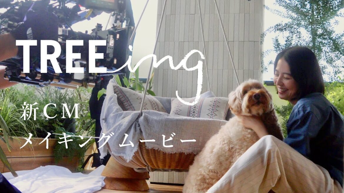 【住友林業の家】新CM｜TREEing「どんどん好きになる家」MAKING MOVIE