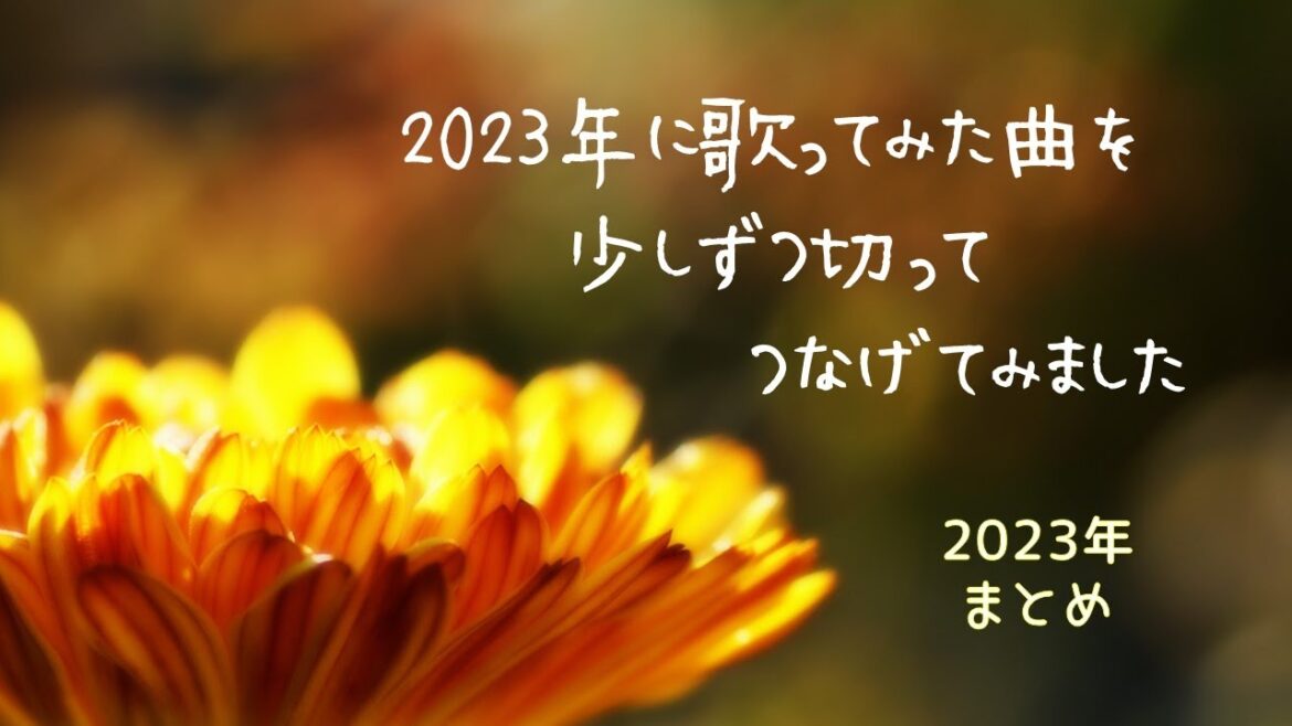 【歌ってみた♡2023年メドレー】
