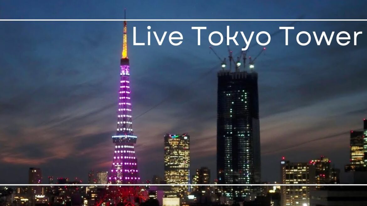 4K 麻布台ヒルズ森JPタワーと東京タワー /Tokyo Tower and Roppongi Hills and Azabudai Hills