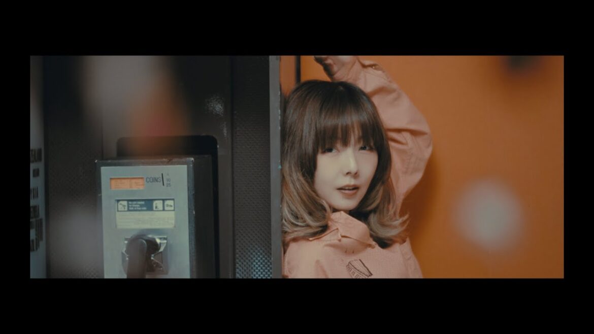 aiko- 『星の降る日に』music video
