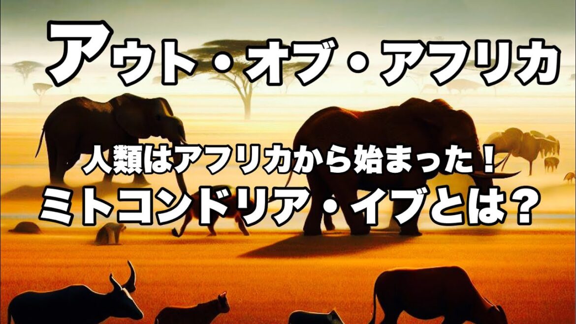 ミトコンドリアDNAが証明するアフリカ起源説！すべての人類はアフリカの女性から始まった！ミトコンドリア・イブ！