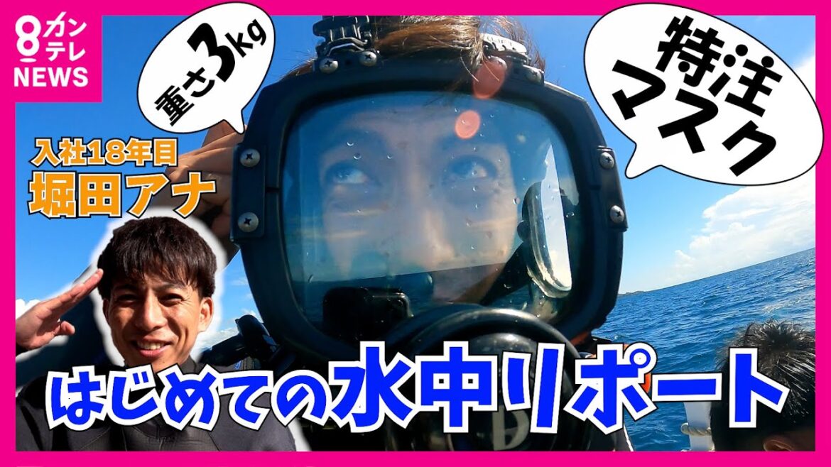 【日本一の潜水アナへ】「ニモ」でおなじみ「クマノミ」と遭遇　堀田アナが渾身のリポート！　潜ってほしい場所 見つけてほしい魚をコメント欄で大募集！堀田アナは海でも川でも潜ります‼︎