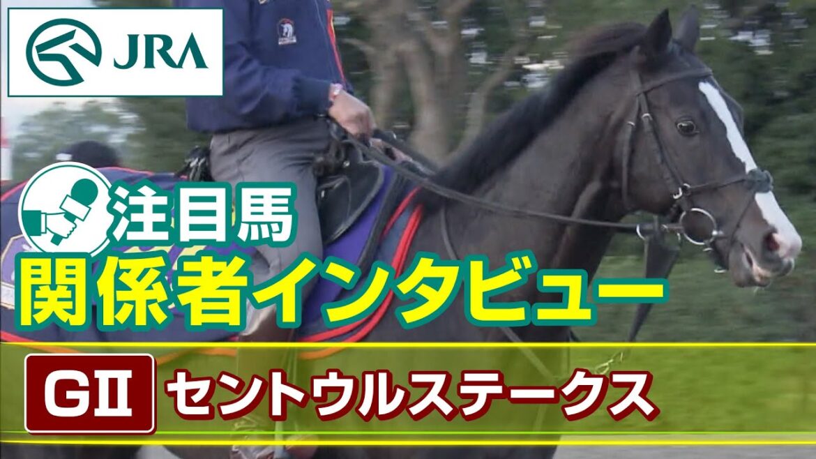 【注目馬 関係者インタビュー】2023年 セントウルステークス｜JRA公式