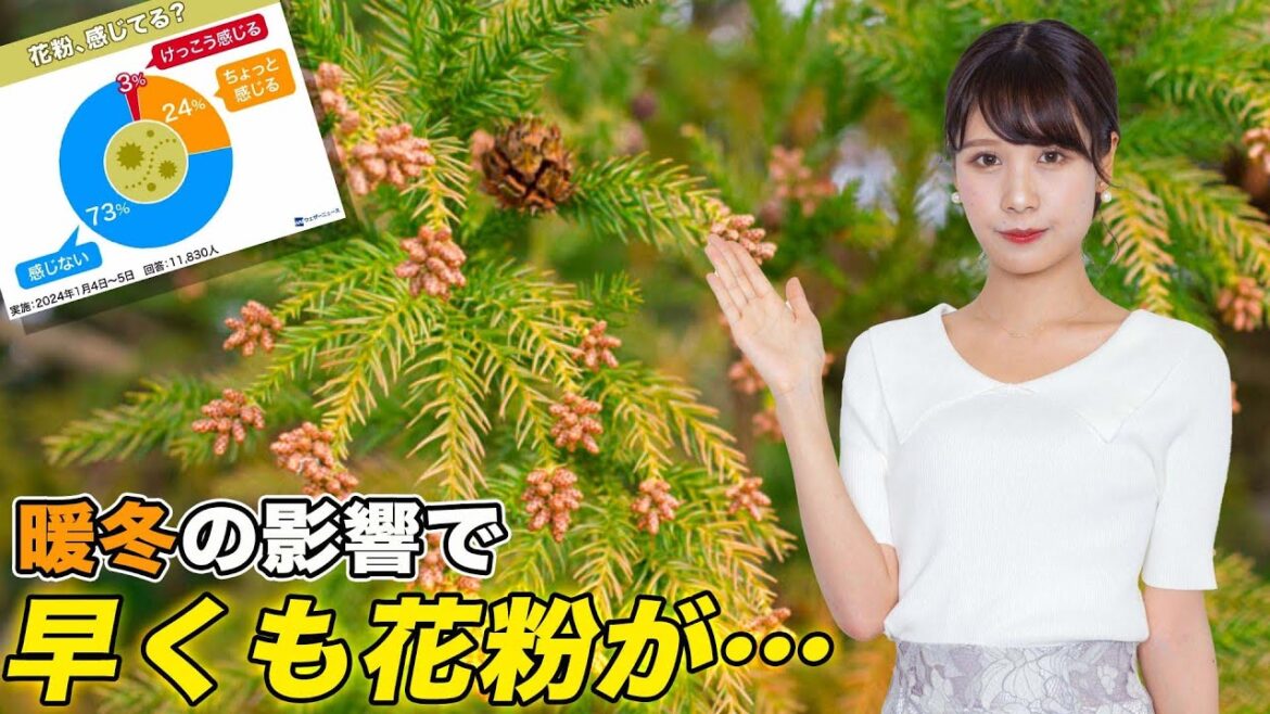 【独自調査】早くも花粉症の症状か
