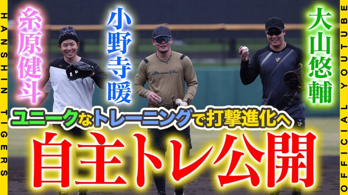 【自主トレ③】打撃進化へ！#糸原健斗 選手 #大山悠輔 選手 #小野寺暖 選手が自主トレ公開！ユニークなトレーニングに苦戦…！？も2024年シーズンに向けた調整は順調です！
