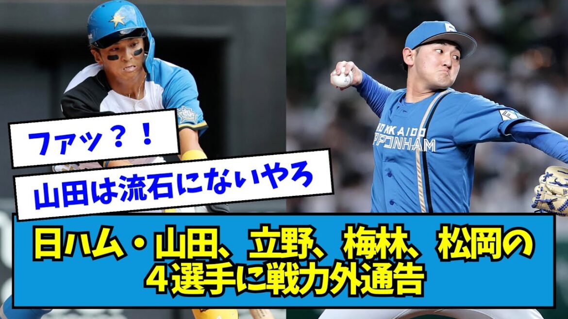 【衝撃】日ハム・山田遥楓、立野和明、松岡洸希、梅林優貴に戦力外通告・・・【なんJ反応】