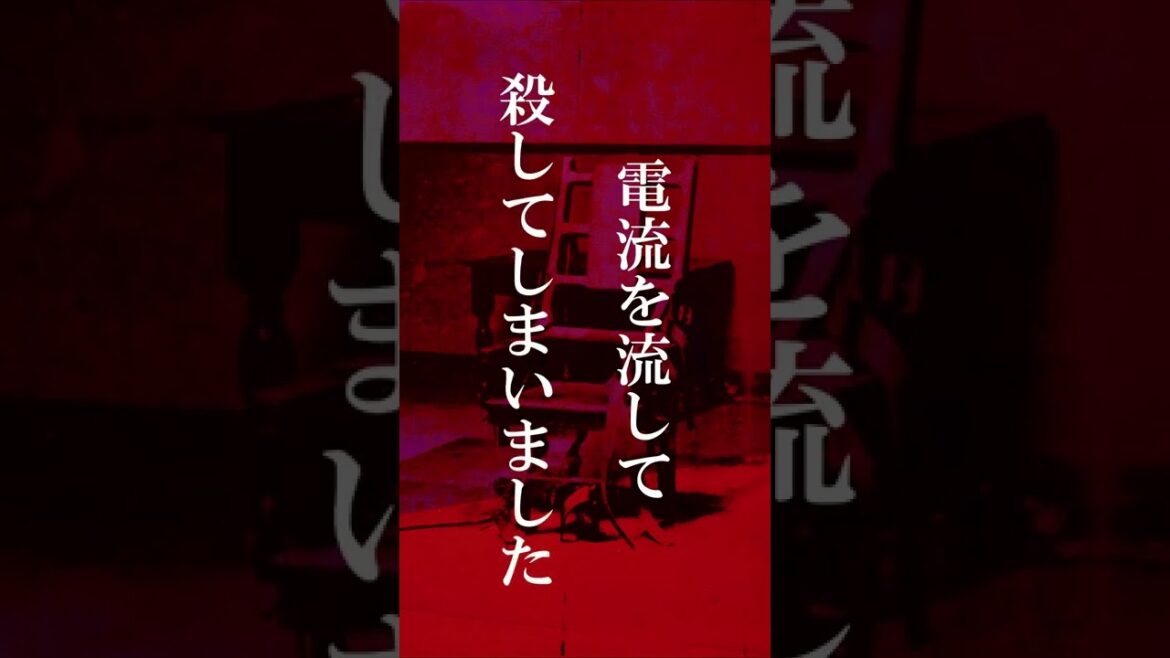 ハローキティ殺人事件 #事件 #ミステリー #怖い話 #shorts