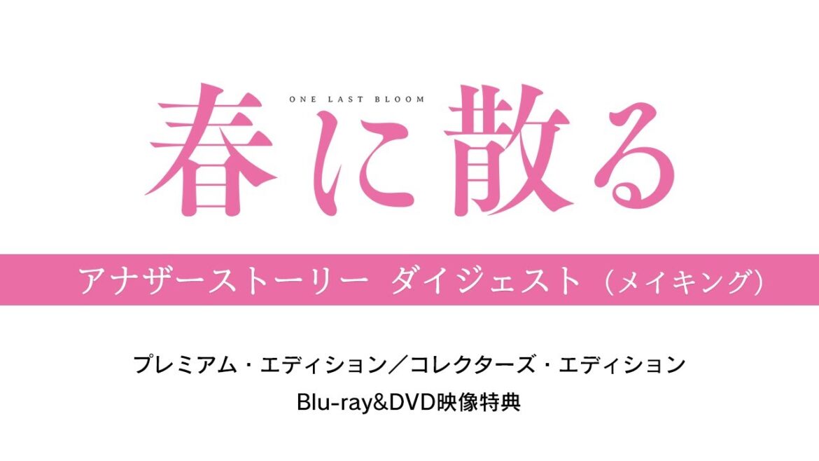 映画『春に散る』3/6発売 Blu-ray&DVD映像特典＜メイキングダイジェスト＞