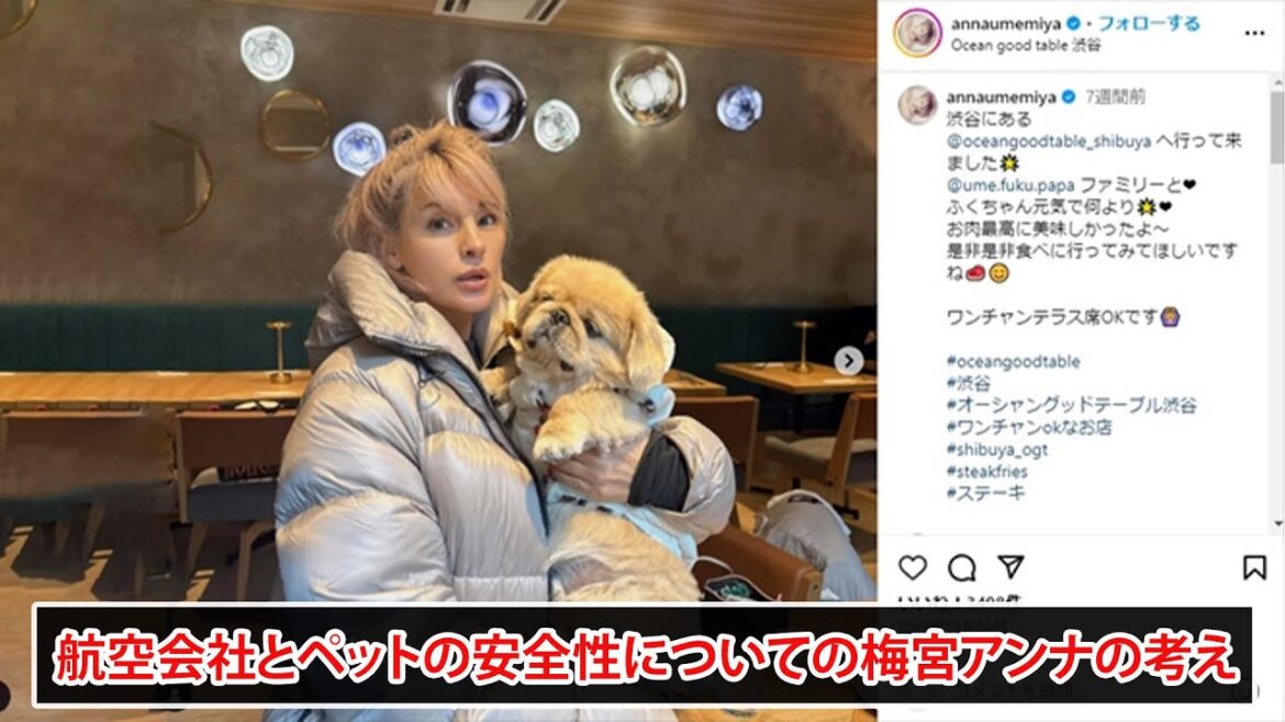 梅宮アンナは、飛行機の貨物室にペットを置くことに反対しています