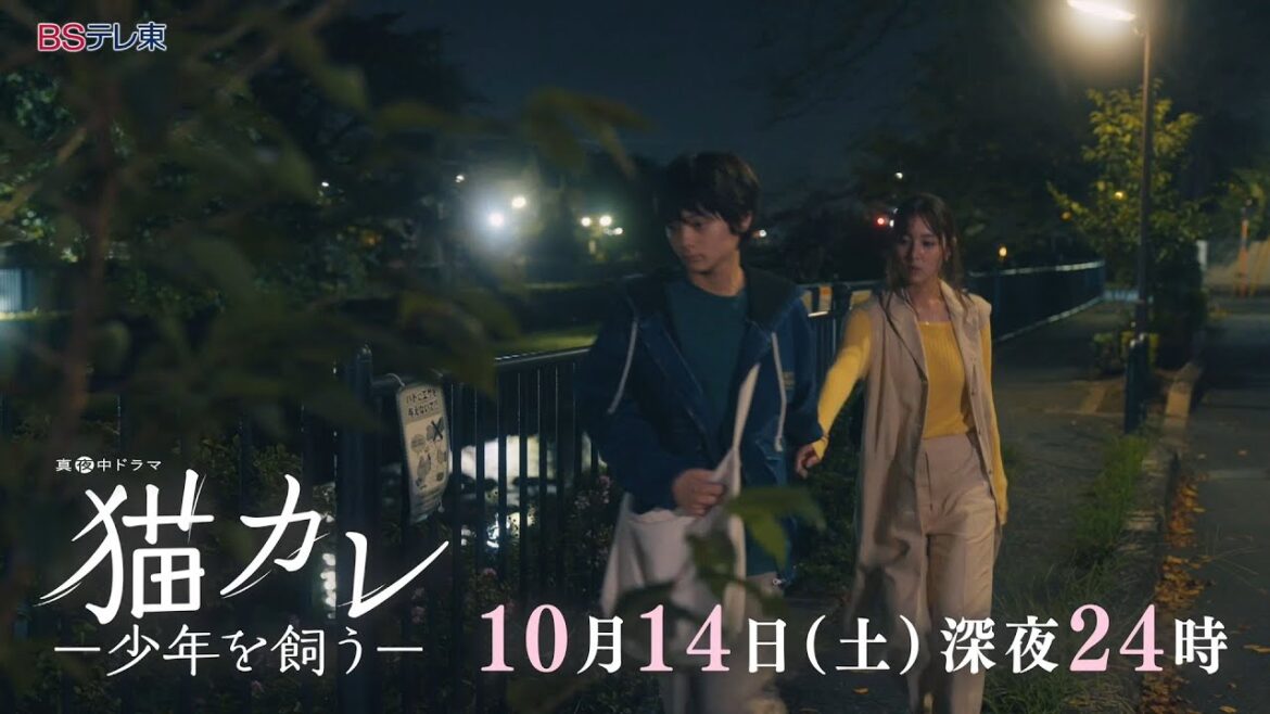 真夜中ドラマ「猫カレ -少年を飼う-」第2話 | ＢＳテレ東