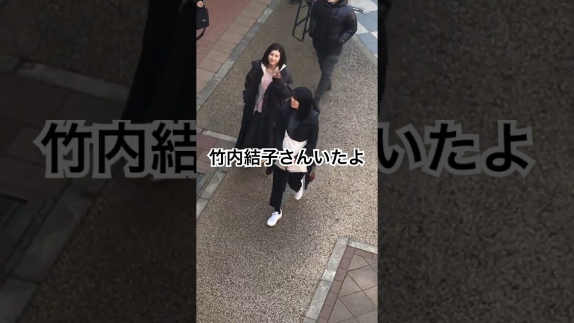 竹内結子さんいたよ