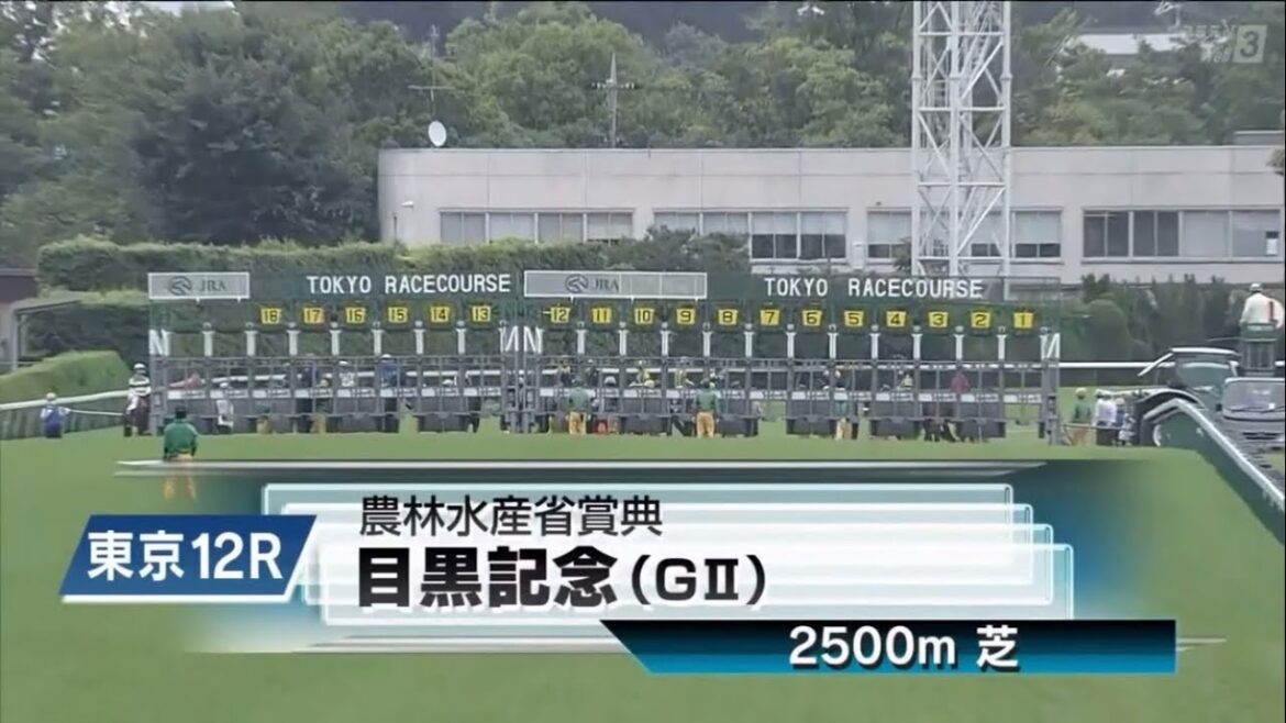 第137回目黒記念(GⅡ)