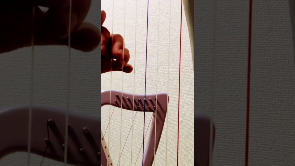絶妙なタイミングで合いの手を入れるオカメインコ #harp #ハープ #すずめの戸締まり #オカメインコのいる暮らし